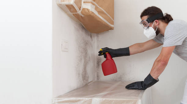 Professional Basement Mold Remediation technician working in Kennesaw, GA