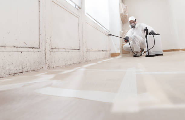 24/7 Emergency Basement Mold Remediation experts in Kennesaw, GA